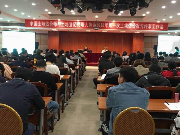公司青年专家参加土地估价报告评审工作会